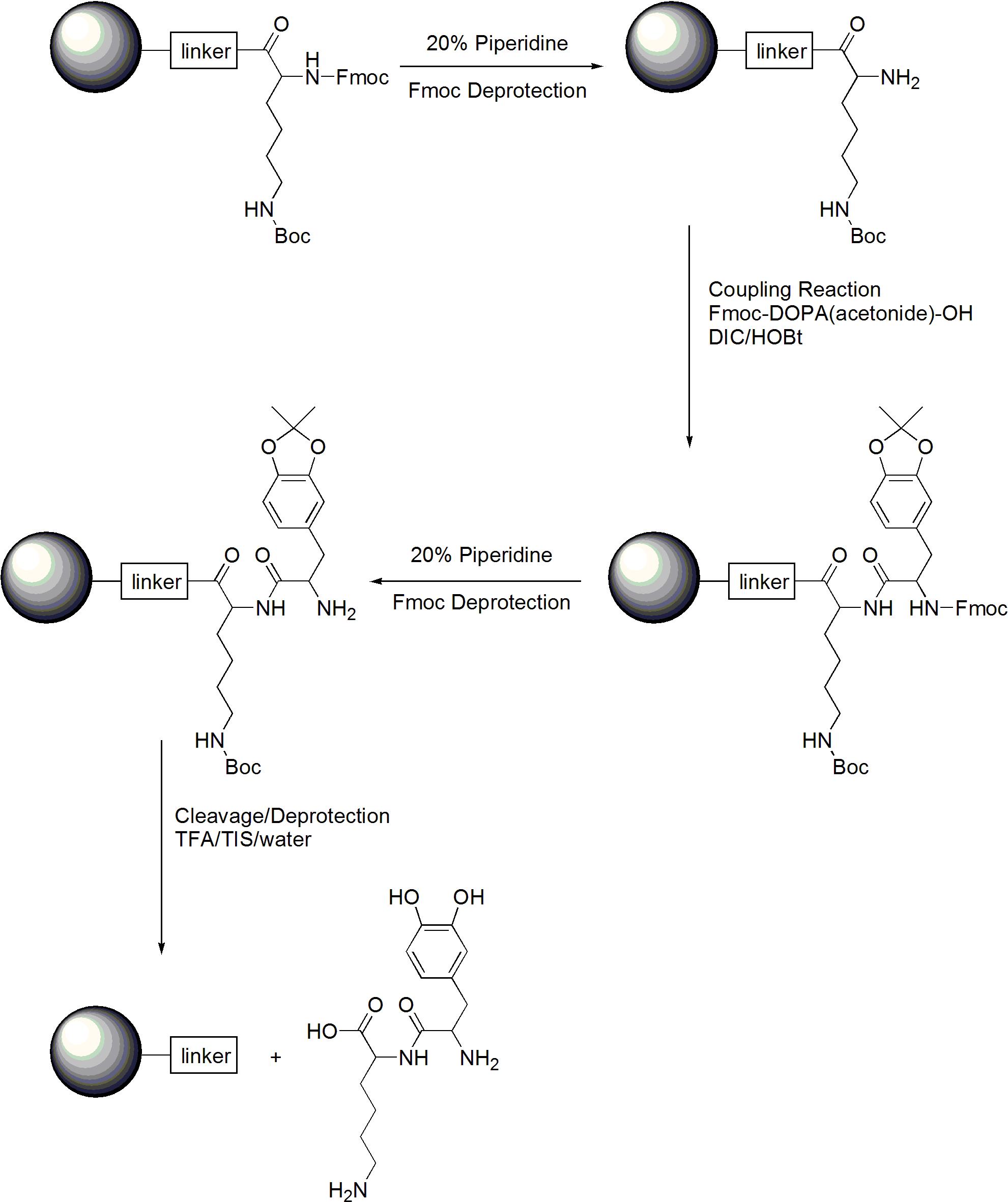 Solid-phase peptide synthesis of Lysine-DOPA, dipeptide