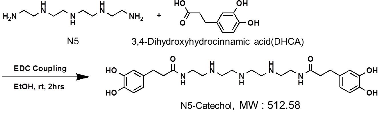 Oligoethylene amine과 카테콜유도체를 이용한 카테콜아민 합성과정