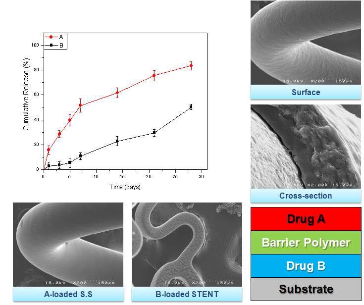 In vitro Release behavior from Dual drug-loaded SS