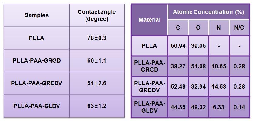 펩티드 고정된 PLLA 및 처리되지 않은 PLLA 표면의 특성 분석