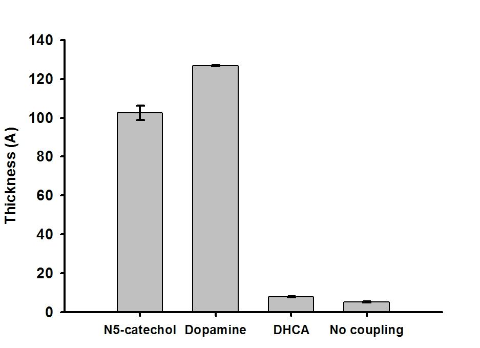 카테콜 아민 표면 코팅시의 두께 확인