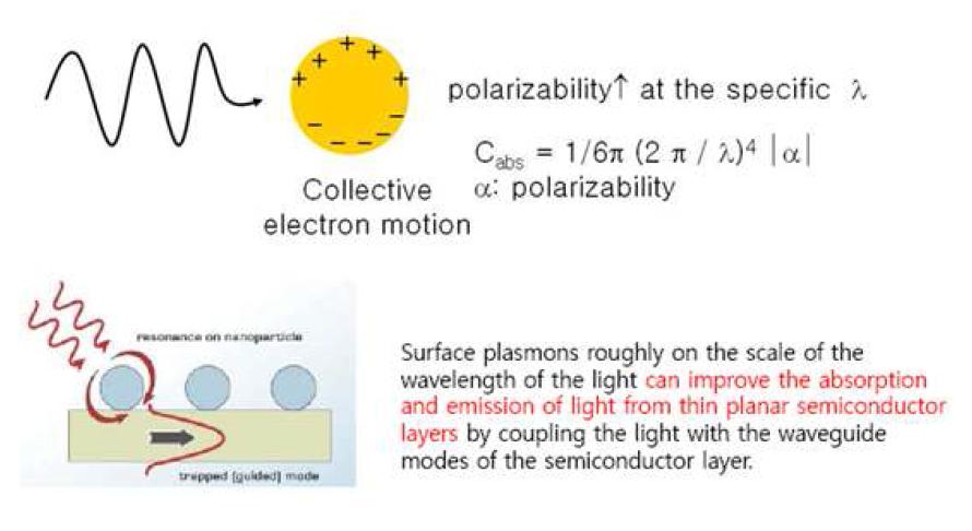 표면 플라즈몬 (surface plasmon) 원리