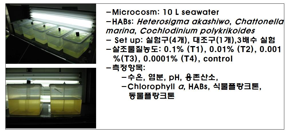 실내 마이크로코즘을 적용한 HA Bs에 대한 M g-Clay 살조능 및 동식물 플랑크톤 위해성 평가법