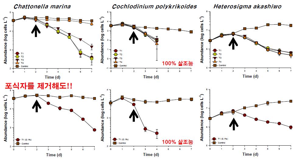 HA Bs (Chatonella marina, Cochlodinium polykrikoides, H eterosigma akashiwo)에 대한 M g-Clay의 마이크로코즘 살조능 평가