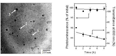 근적외 폴리머닷의 투과전자현미경 사진(좌) 및 생리조건에서의 화학적/분산 안정성을 보여주는 형광 및 산란 스펙트럼(우)