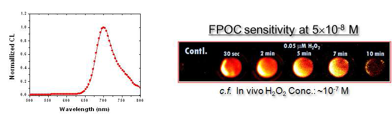 나노프로브의 화학발광 스펙트럼(좌)과 극희박 과산화수소(50 nM)에 대한 영상화 민감도(우)