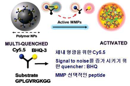 단밸질 분해 효소 (MMP) 진단을 위한 고분자 하이브리드 스위치의 개발
