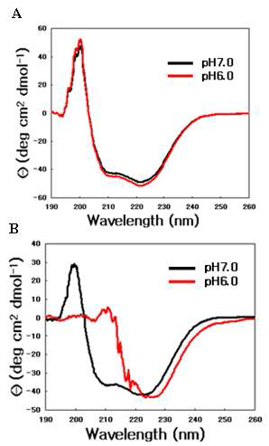 protein cage 바이오스위치의 pH에 따른 CD spectrum. (A) 정상 protein cage의 pH에 따른 profile. (B) engineered protein cage의 pH에 따른 구조변화를 보여주는 profile