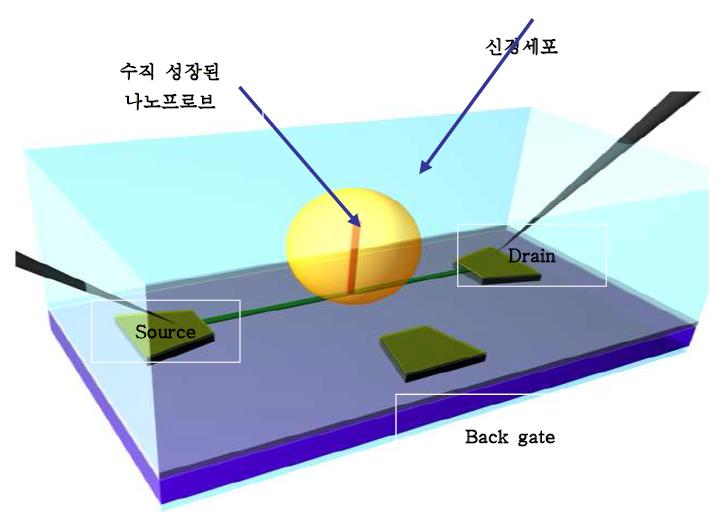 패치클램프 어레이의 개념도