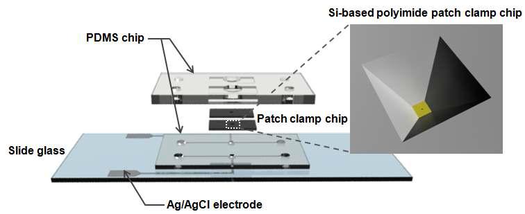 Planar patch clamp chip