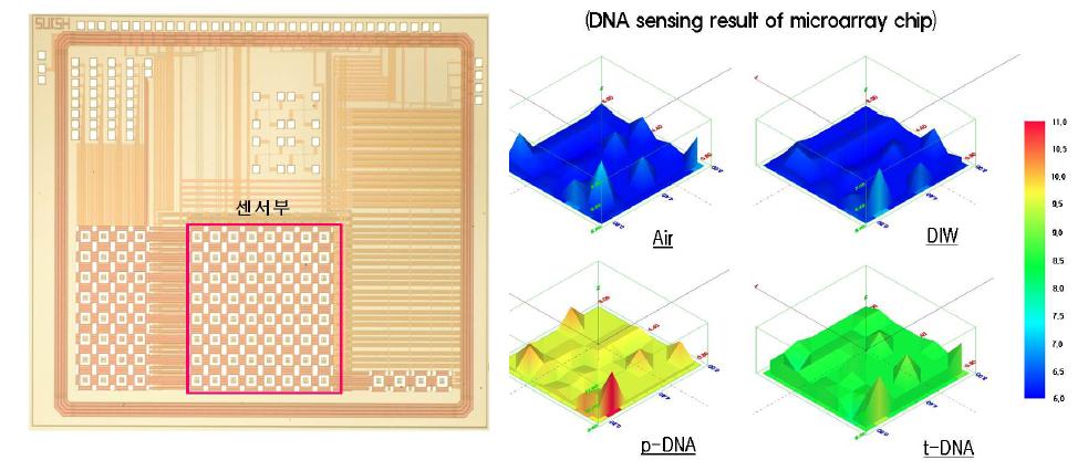 64개 센서를 갖는 측정 칩 및 DNA 측정 결과