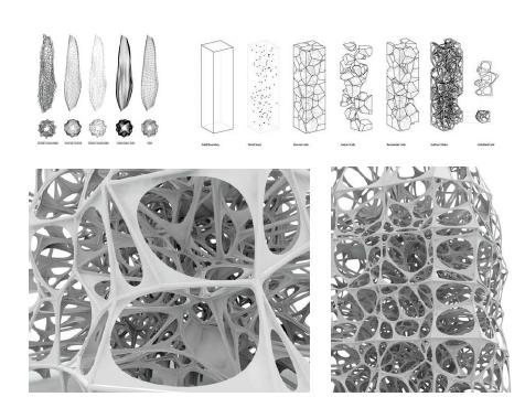 Andrew Kudless, Voronoi Morphologies, Columbus, Ohio, 2006