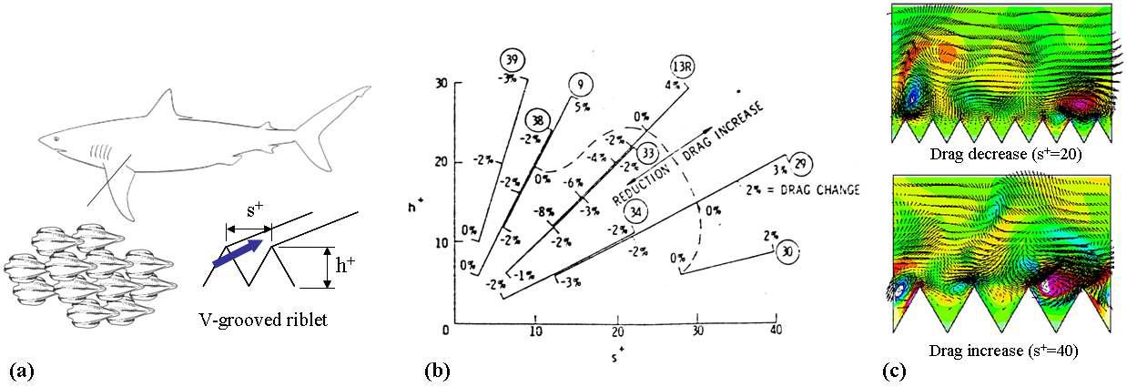 (a) 상어 표면을 모사한 리블렛; (b) 리블렛의 형태에 따른 항력변화 (Walsh, 1982); (c) 리블렛 위의 순간 유동장