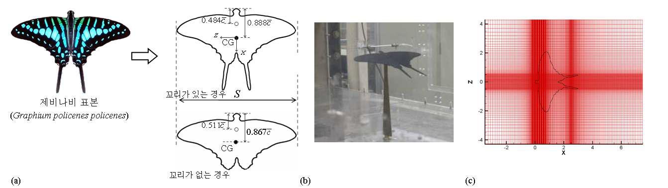 (a) 제비나비 날개 모델 형상; (b) 풍동실험 사진; (c) 수치해석을 위한 격자 좌표계