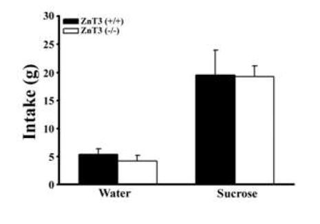 ZnT3 WT과 KO 생쥐에서의 sucrose 선호도 검사