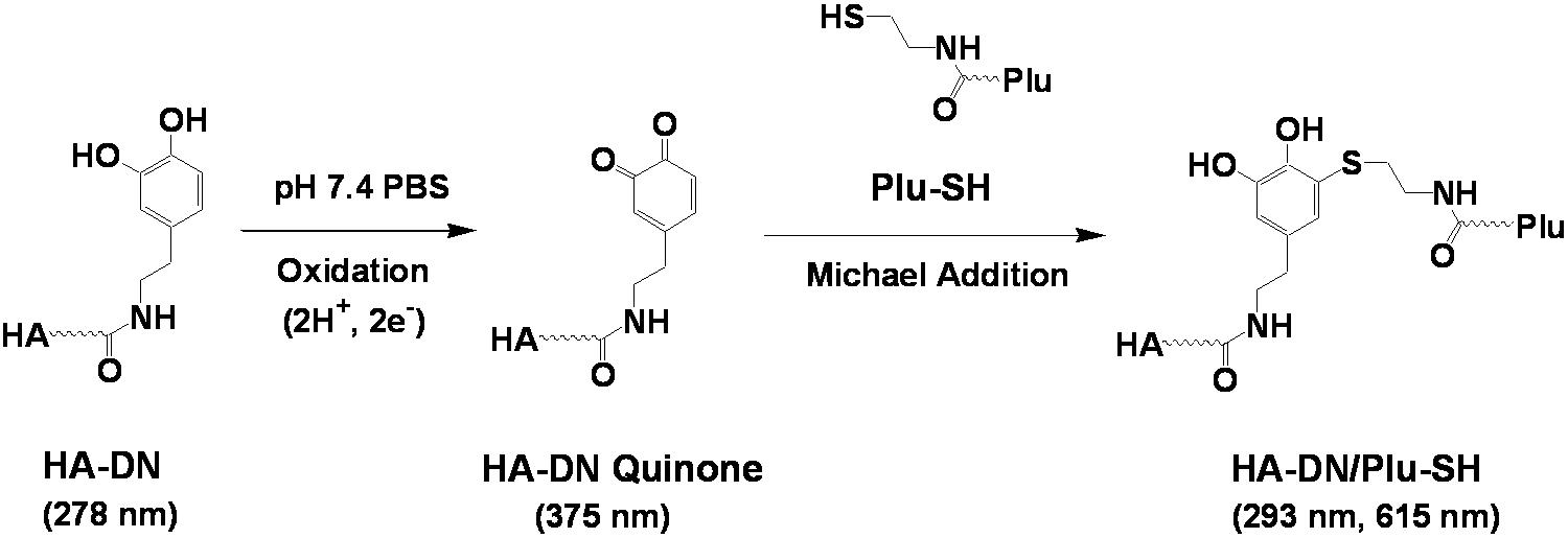 도파민-티올 반응의 원리 및 UV-Vis 광학적 성질