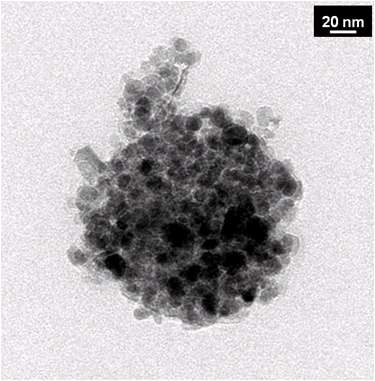 자성 고분자 나노캡슐의 투과전자현미경(TEM) 사진.