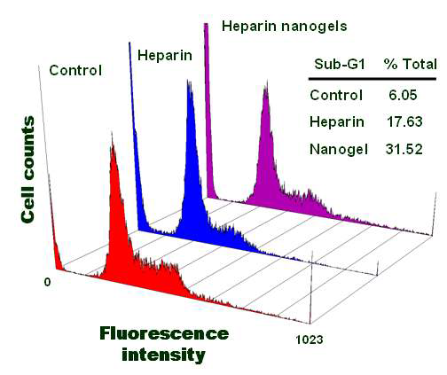 헤파린 나노 입자를 처리한 후의 세포 예정사 분석