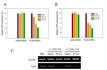 (A,B) naked siRNA와 siRNA-PLGA를 LPEI25k와 2.5k를 이용하여 암세포에 전달한 후 타겟 GFP 발현억제를 비교함. (C) RT-PCR을 통해 타겟 GFP의 mRNA양을 비교.