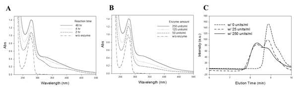 (A) 반응 시간에 따라, (B) 효소 양에 따라 가교 정도가 달라지는 플루로닉-타이라민 하이드로젤의 UV-vis spectra 자료. (C) GPC를 이용하여, 효소 양에 따라 가교 정도가 증가된 플루로닉-타이라민 분자량의 측정