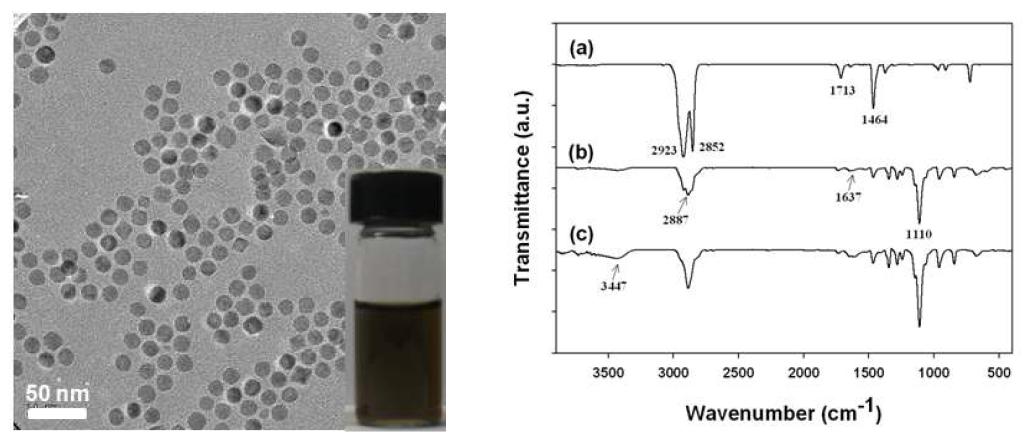 가돌리늄 결합 자성 나노 입자의 투과전자현미경(TEM) 사진과 FT-IR