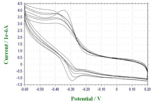 CV graph - 다양한 concentration 의 MB-DNA