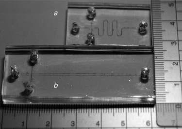 5cm microchannel CE-AD chip