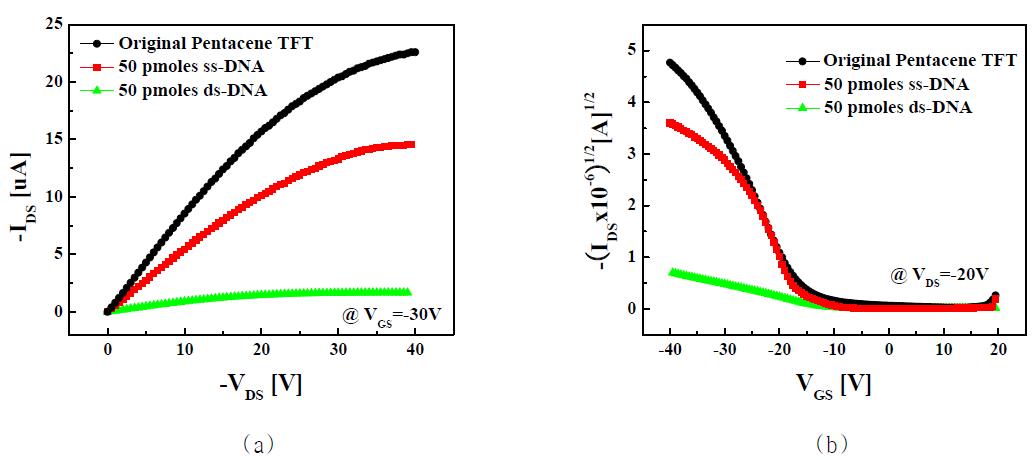 ssDNA / dsDNA immobilization에 따른 pentacene 박막 트랜지스터의 전기적 특성 변화