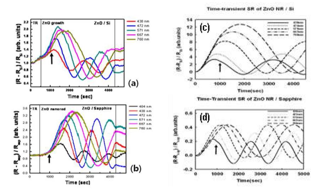 (a) Si 기판과 (b) Sapphire 기판 위에 올린 ZnO nanorods 의 SR signal 실험값. (c) Si 기판과 (d) Sapphire 기판에 올린 ZnO nanorod 의 파장별 SR signal 시뮬레이션.