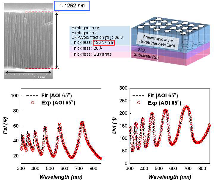 AAO 의 복굴절 특성과 EMA 분석을 결합한 모델링을 통해 실험치와 거의 유사한 ellipsometric data 를 얻을 수 있었으며 구조 분석의 경우 박막의 두께가 SEM 결과와 비교했을 때 불과 수 나노 정도의 차이밖에 나지 않음을 확인 할 수 있다.