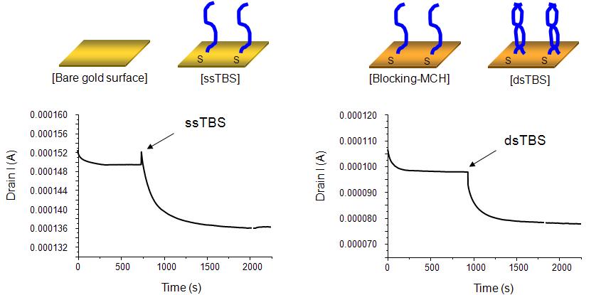 DNA 결합에 따른 MOSFET 전류 흐름 변화