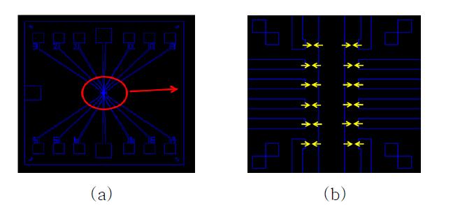 (a) 외부 나노 간극을 위한 CAD 디자인, (b) 간극부 확대 이미지