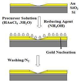 표면촉매화학증착법 (Surface-catalyzed chemical depostion)을 이용한 나노전극 제작