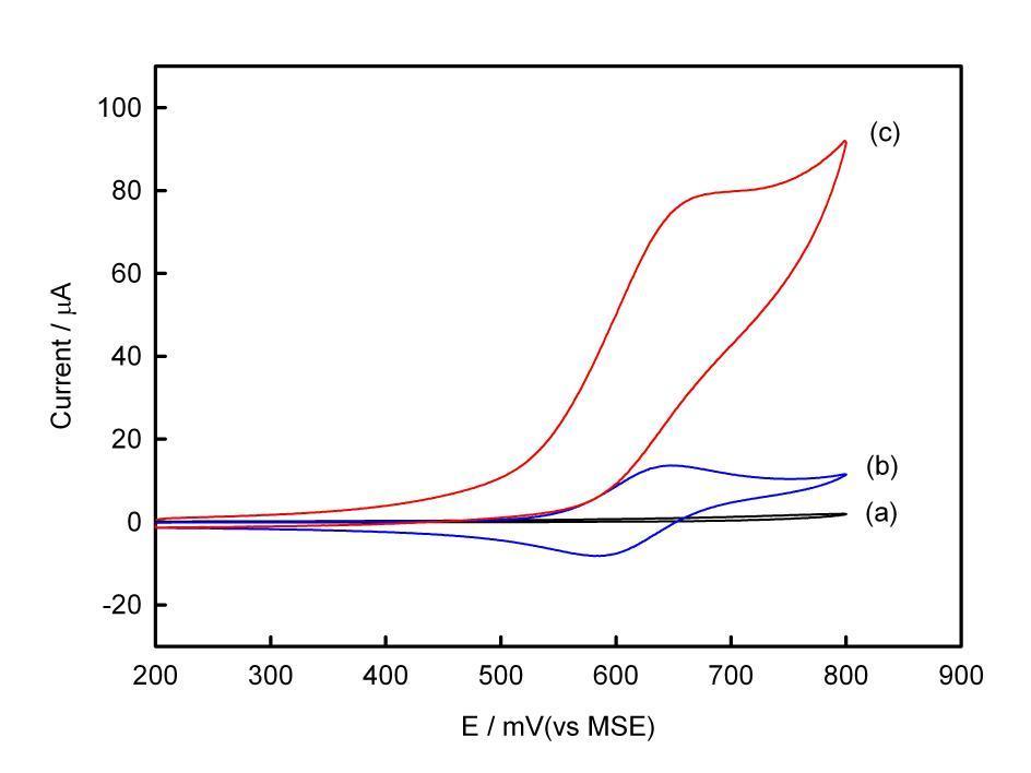 탄소나노튜브에 흡착된 TBA의 존재 유무 에 따른 전기화학적 신호증폭확인, (a) in the absence of Ru(bpy) 2+3 , (b) no TBA(15-mer) and (c) 1 μM TBA 일때의 Cyclic voltammograms