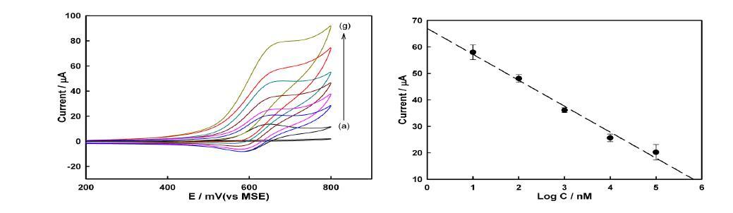 완성된 단백질 센서에서 트롬빈 농도에 따른 전류세기의 변화 결과와 calibration curve, (a) in the absence of TBA and after adding thrombin concentration of(b) 100 μM , (c) 10 μM (d) 1 μM , (e) 100 nM, (f) 10nM (g) no target