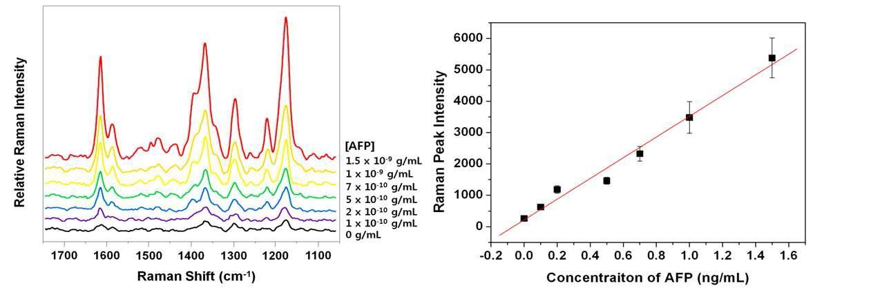 (a) AFP 농도에 따른 SERS 스펙트럼, (b) AFP 농도에 따른 1615 cm-1 의 SERS 신호 세기. [0, 1.5] ng/mL 구간에서 y = 3302x + 216.9, R = 0.9910(n=6) 의 선형 관계를 보인다.