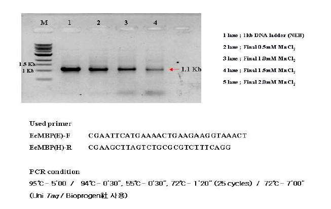 방향성 분자진화를 위한 EP PCR (Error-prone PCR) 기법