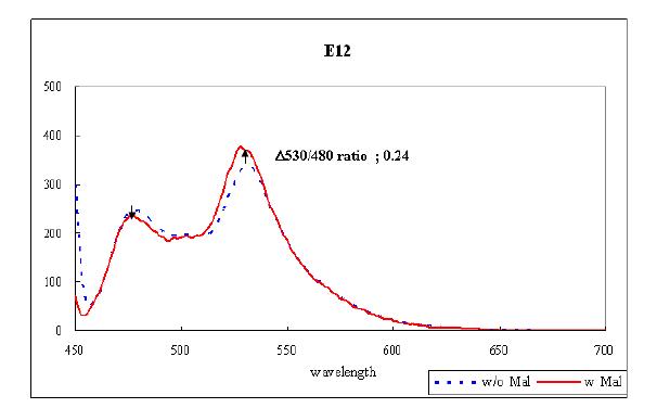E12 돌연변이 단백질의 FRET 분석
