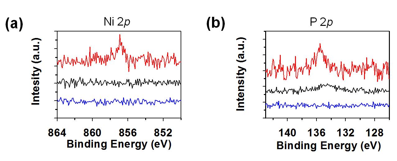 XPS 결과 (a) Ni 2p, (b) P 2p