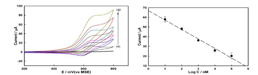 완성된 단백질 센서에서 트롬빈 농도에 따른 전류세기의 변화 결과와 calibration curve, (a) in the absence of TBA and after adding thrombin concentration of (b) 100 μM , (c) 10 μM (d) 1 μM , (e) 100 nM, (f) 10nM (g)no target