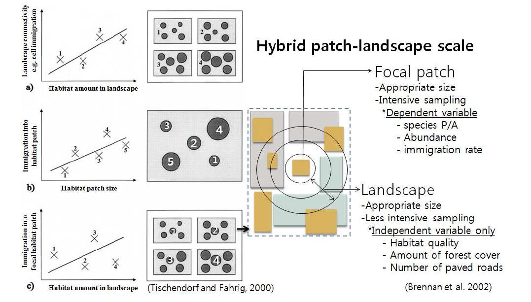 경관 규모에 따른 서식지 생물 이동 분석 개념도
