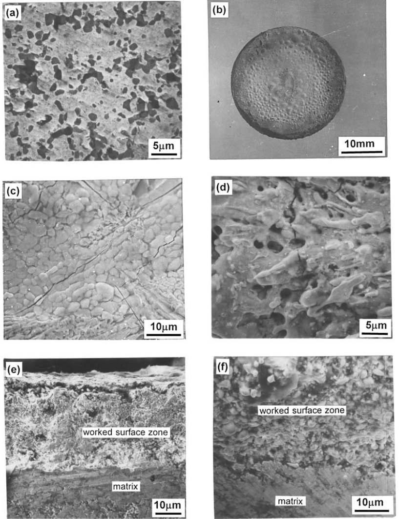 삭마된 ZrCp/W 복합재료의 미세조직. (a) 폴리싱 미세조직, (b) 삭마 후 표면 사진, (c) 삭마후 미세조직, (e) 및 (f) 삭마 표면 미세조직.