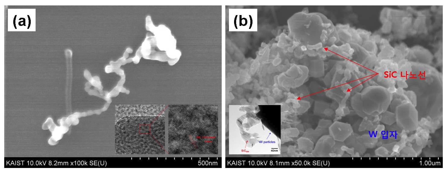 (a) SiC 나노와이어 및 (b) SiCNW/W 나노복합분말 미세조직.