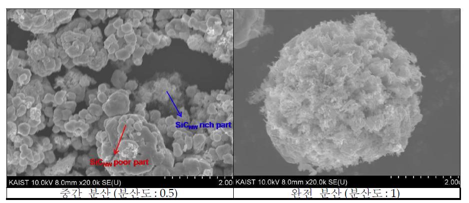SiCNW/W 복합분말의 W 기지내 SiC 나노와이어의 분산도에 따른 미세조직.