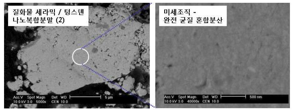 질화 세라믹 나노입자 강화 텅스텐 나노복합분말의 SEM 미세조직.