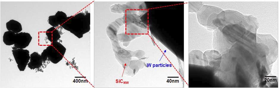 SiC 나노와이어/텅스텐 나노복합분말의 TEM 이미지.