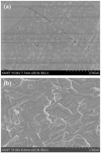SPS 소결된 SiCNW/W 나노금속복합재료의 미세조직. (a) 폴리싱된 표면 (b) 폴리싱후 에칭한 표면