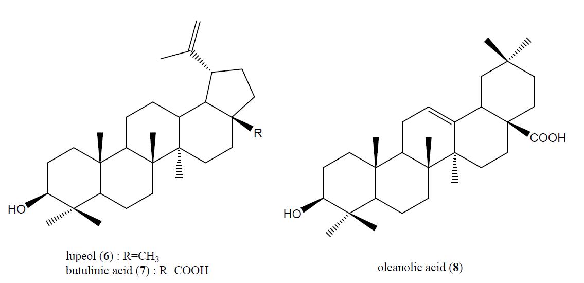 Chemical structures of triterpenoids from the stem bark of A. julibrissin.