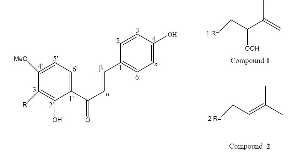 Chemical structures of compounds 1, 2 isolated from the A. keiskei