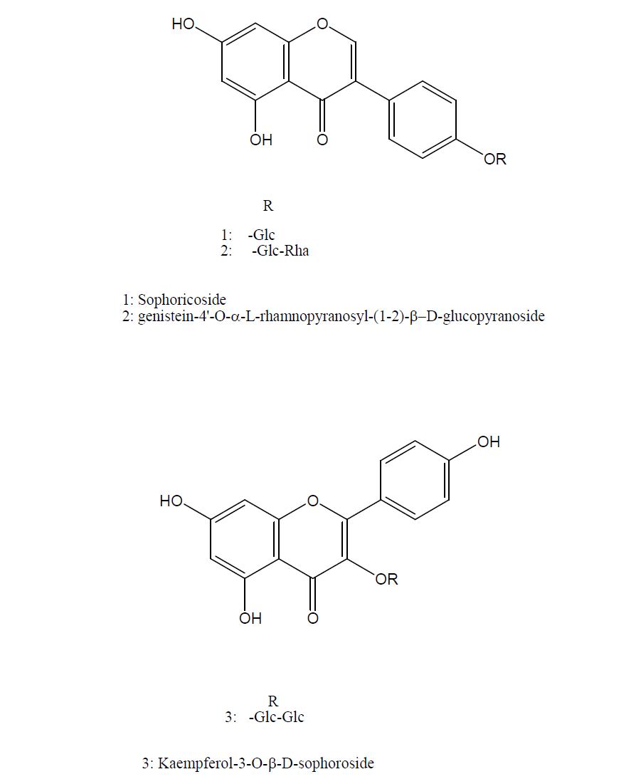Chemical structures of compounds 1-3 isolated from the Sophora japonica